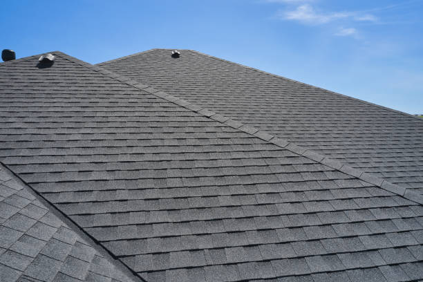 Best Roof Leak Repair  in Ionia, MI